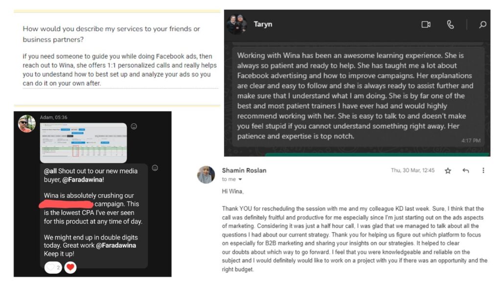 Testimonials from Wina's ads management clients